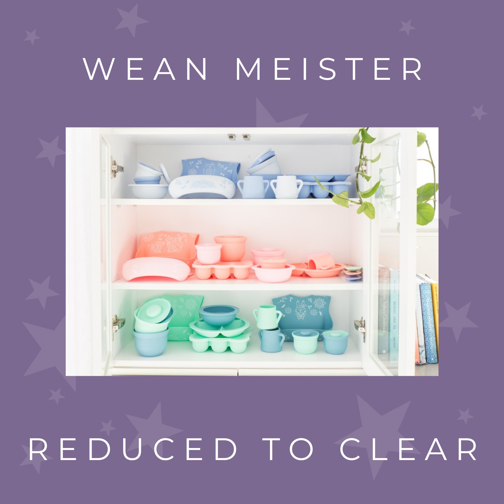 Wean Meister | Reduced to Clear